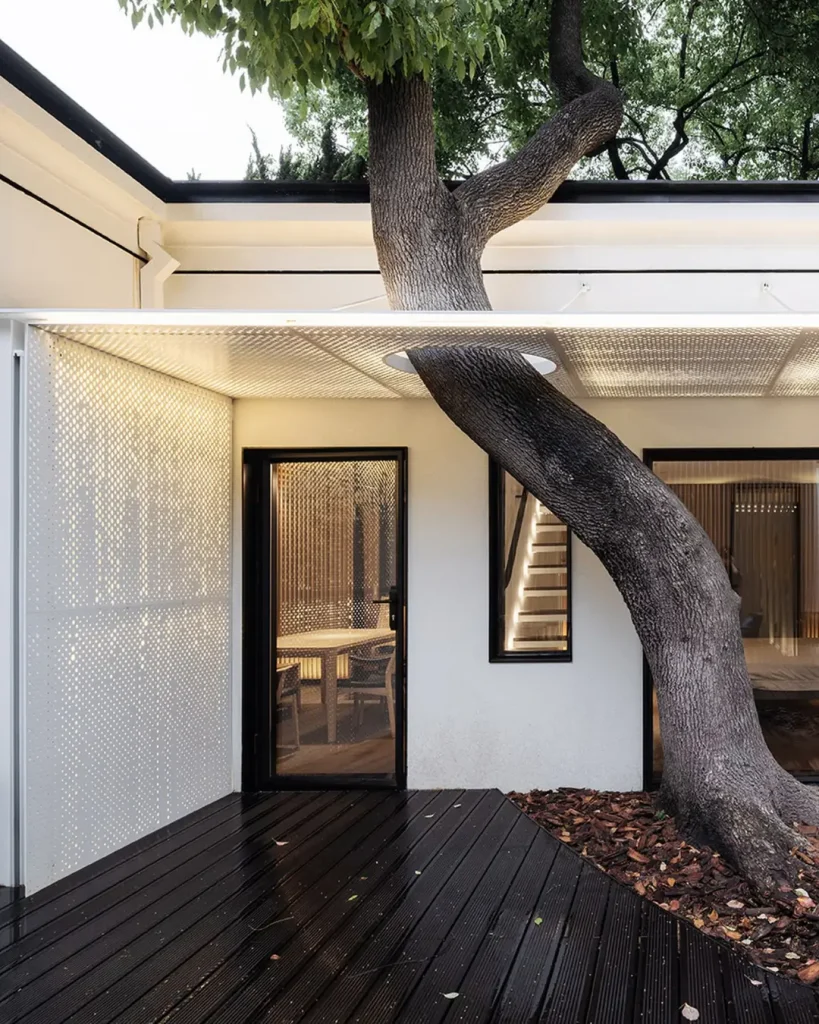 Modern outdoor home extension featuring a tree-integrated deck with a white metal awning and black-framed glass door.