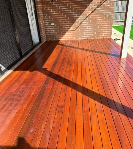 Radevo Website Images (10)